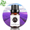 Olio di aromaterapia alla lavanda di altissima qualità. Olio puro al 100%